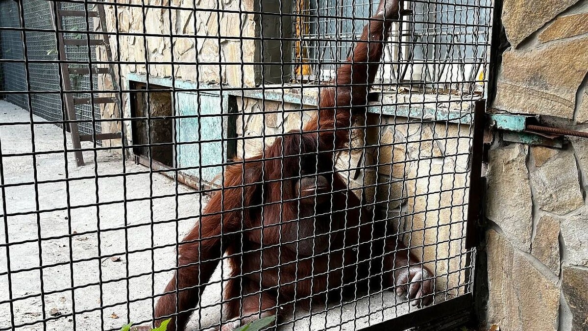    Фото: телеканал «Краснодар»