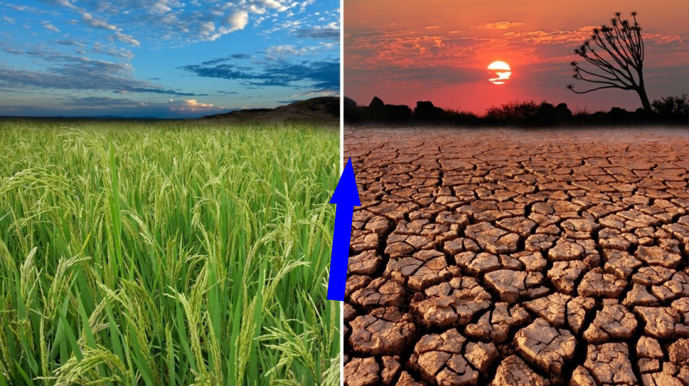    Мир перешагнул роковую отметку +1.5°C и вот что нас ждет