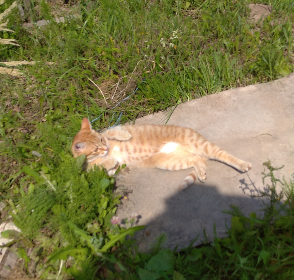 личное фото