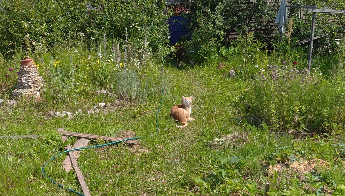 личное фото