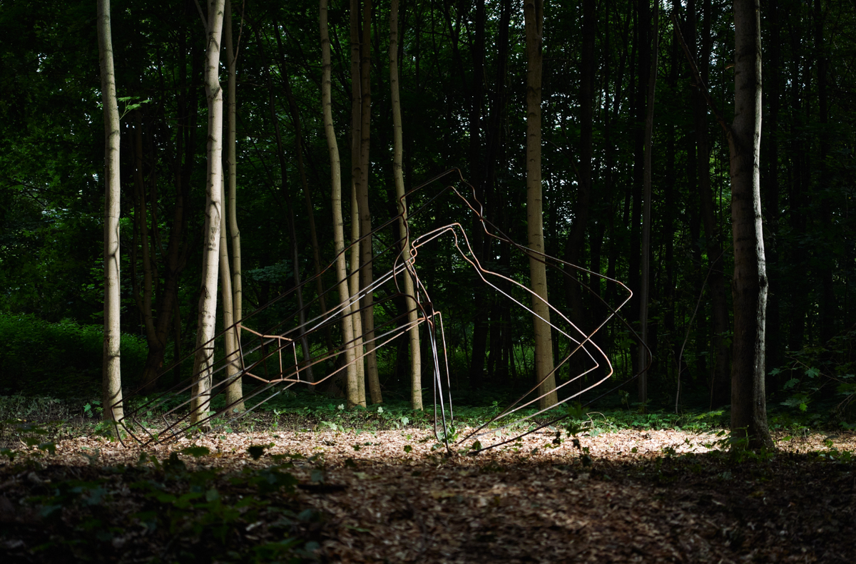    В «Горках Ленинских» открылся проект «Лес. Художественно-терапевтическая тропа» (фото 1)