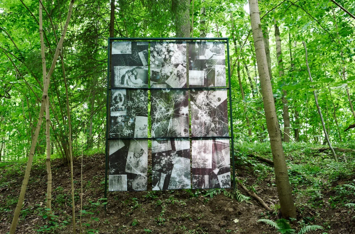    В «Горках Ленинских» открылся проект «Лес. Художественно-терапевтическая тропа» (фото 2)