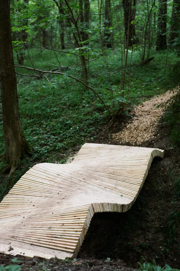    В «Горках Ленинских» открылся проект «Лес. Художественно-терапевтическая тропа» (фото 3)