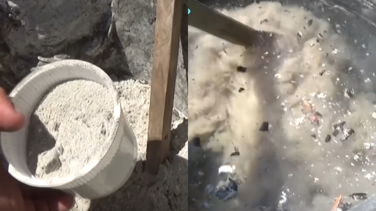 Настой золы готовится 3 дня - проверенная временем формула