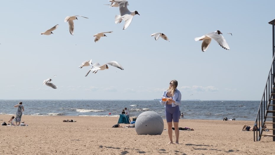    Ласковый пляж. Автор фото: Тихонов Михаил/ДП