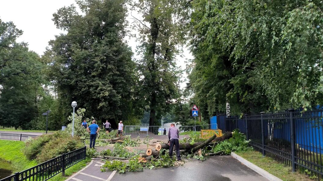    Максим Константинов/Globallookpress