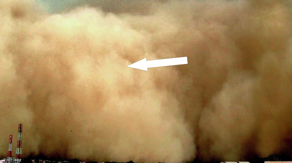    Амурская область в оранжевом плену монгольский циклон бьет рекорды