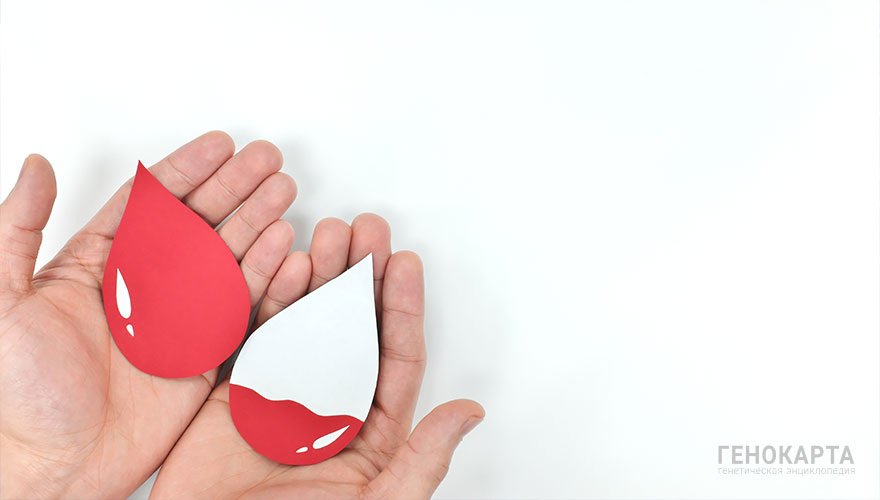 sulit.photos // shutterstock.com