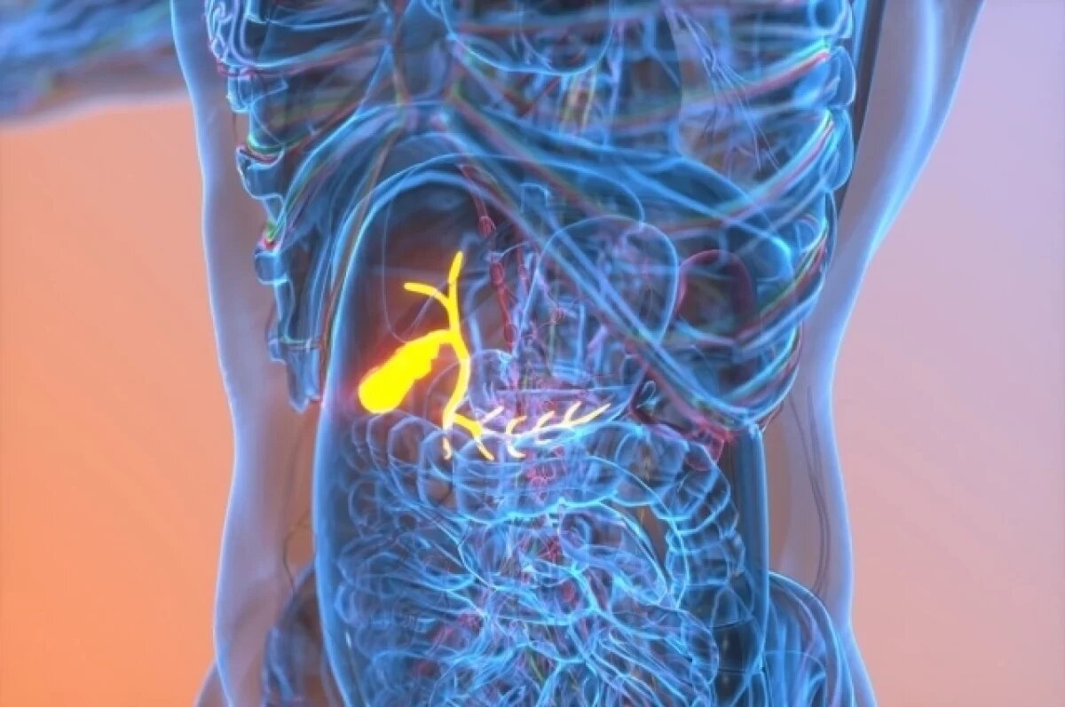    Диетолог Бурлаков опроверг миф о пользе стимуляции желчи от застоя