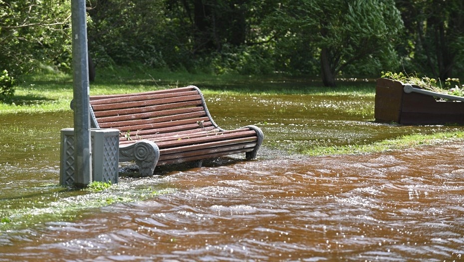    Парк Дубки. Последствия наводнения и шторма. Автор фото: Ермохин Сергей/ДП