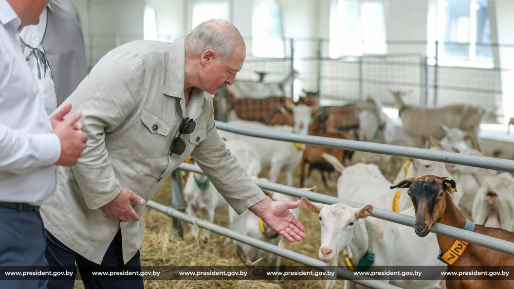    Фото: president.gov.by