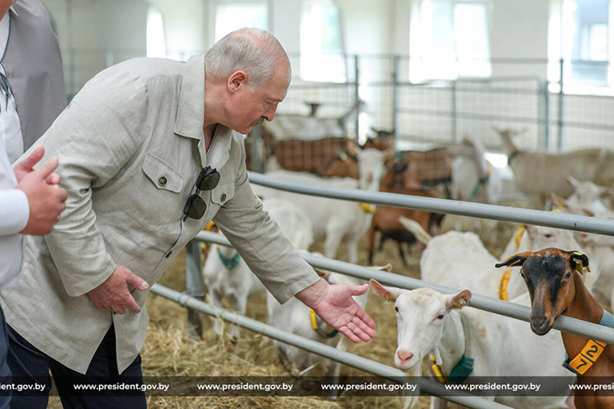    Фото: president.gov.by