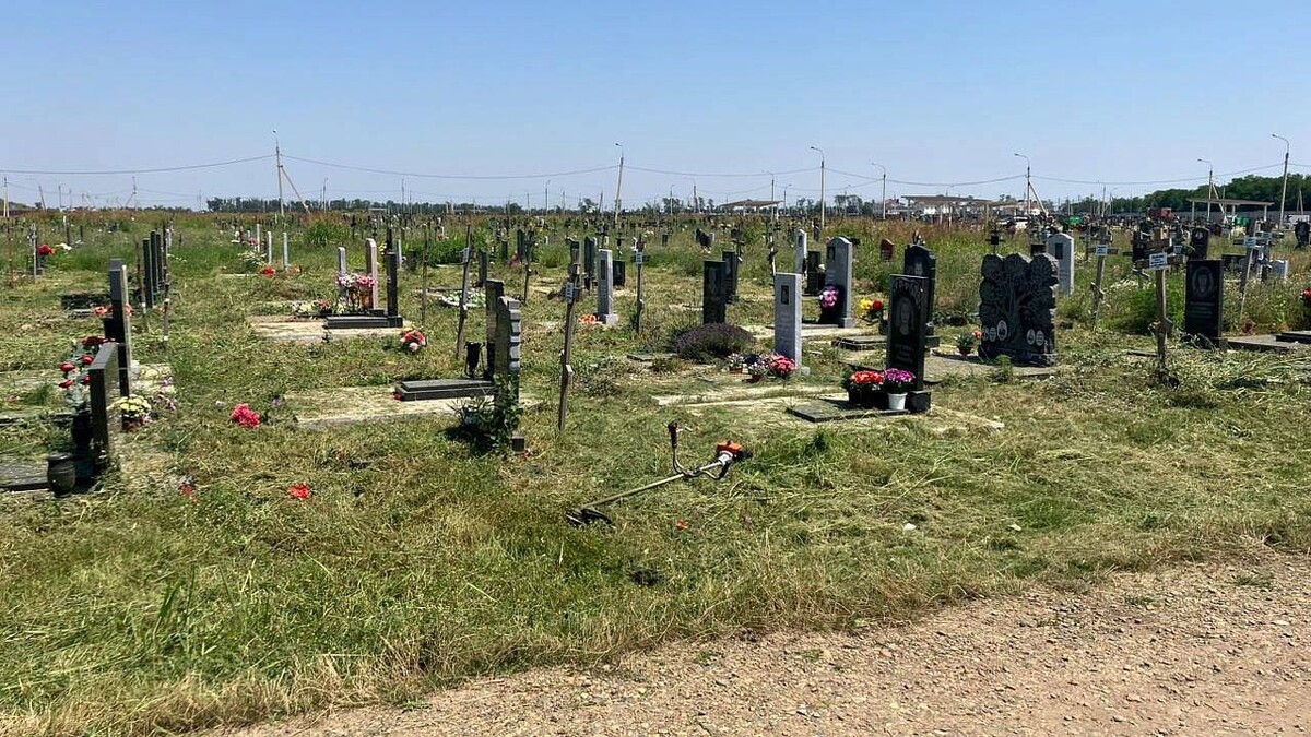    Фото: t.me/proc_23