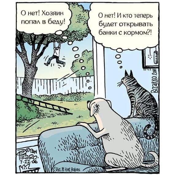 художник Бизарро