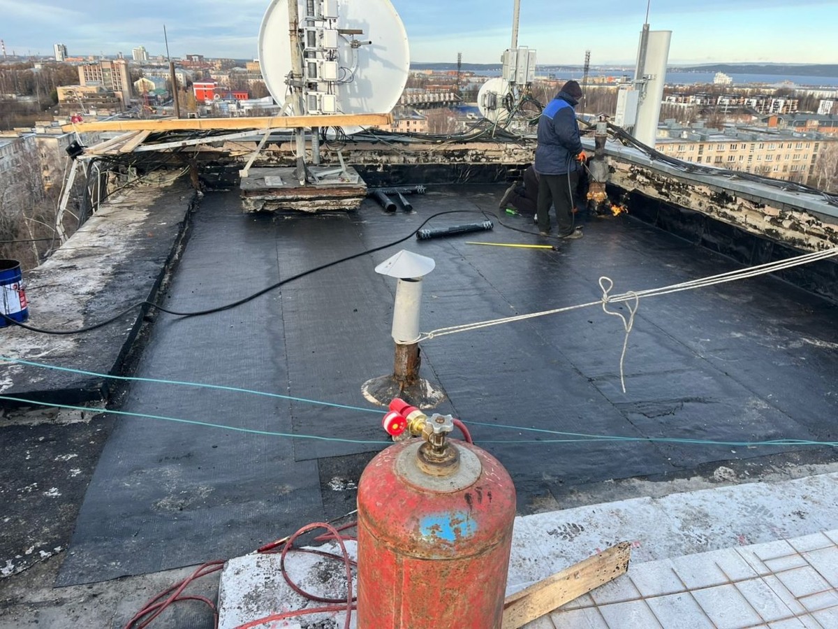    Фото: КарНЦ РАН