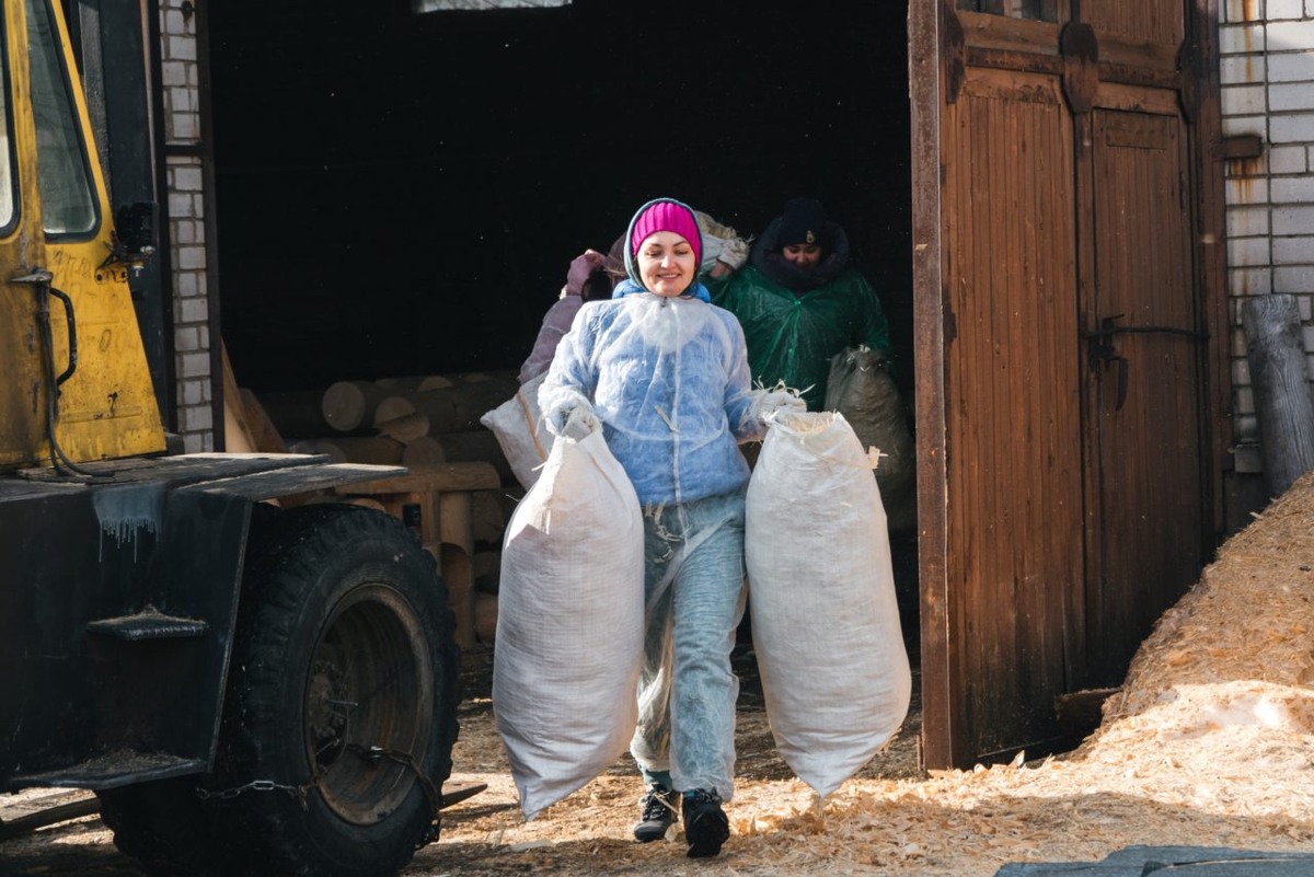    Волонтеры. Фото: Доброцентр 10