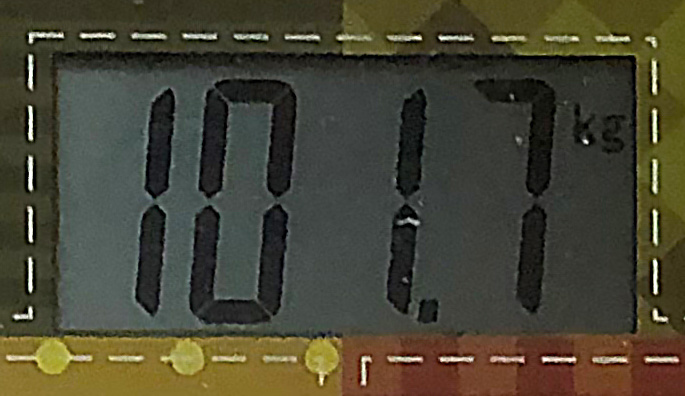 9 месяцев назад. Фото автора. 