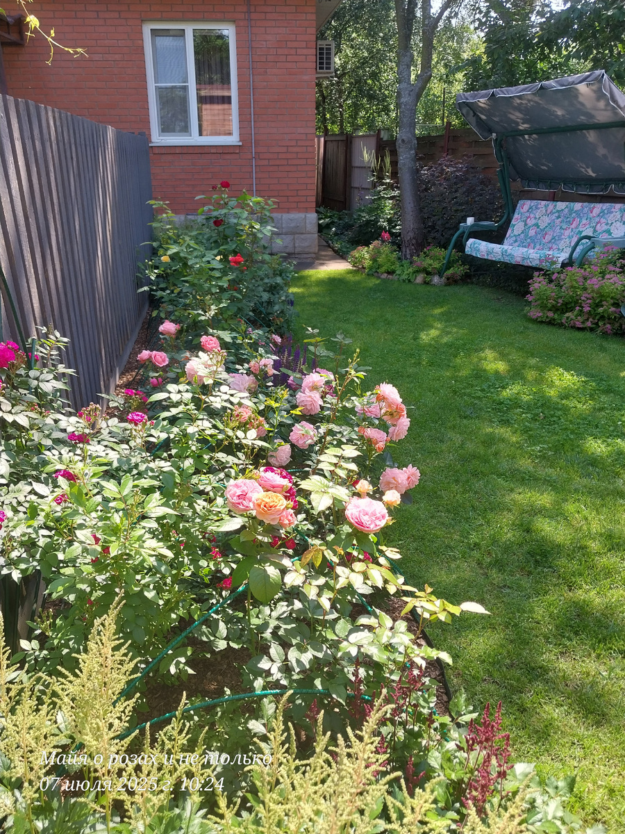 Каждое утро начинается с чашки кофе и встречи с этим розарием