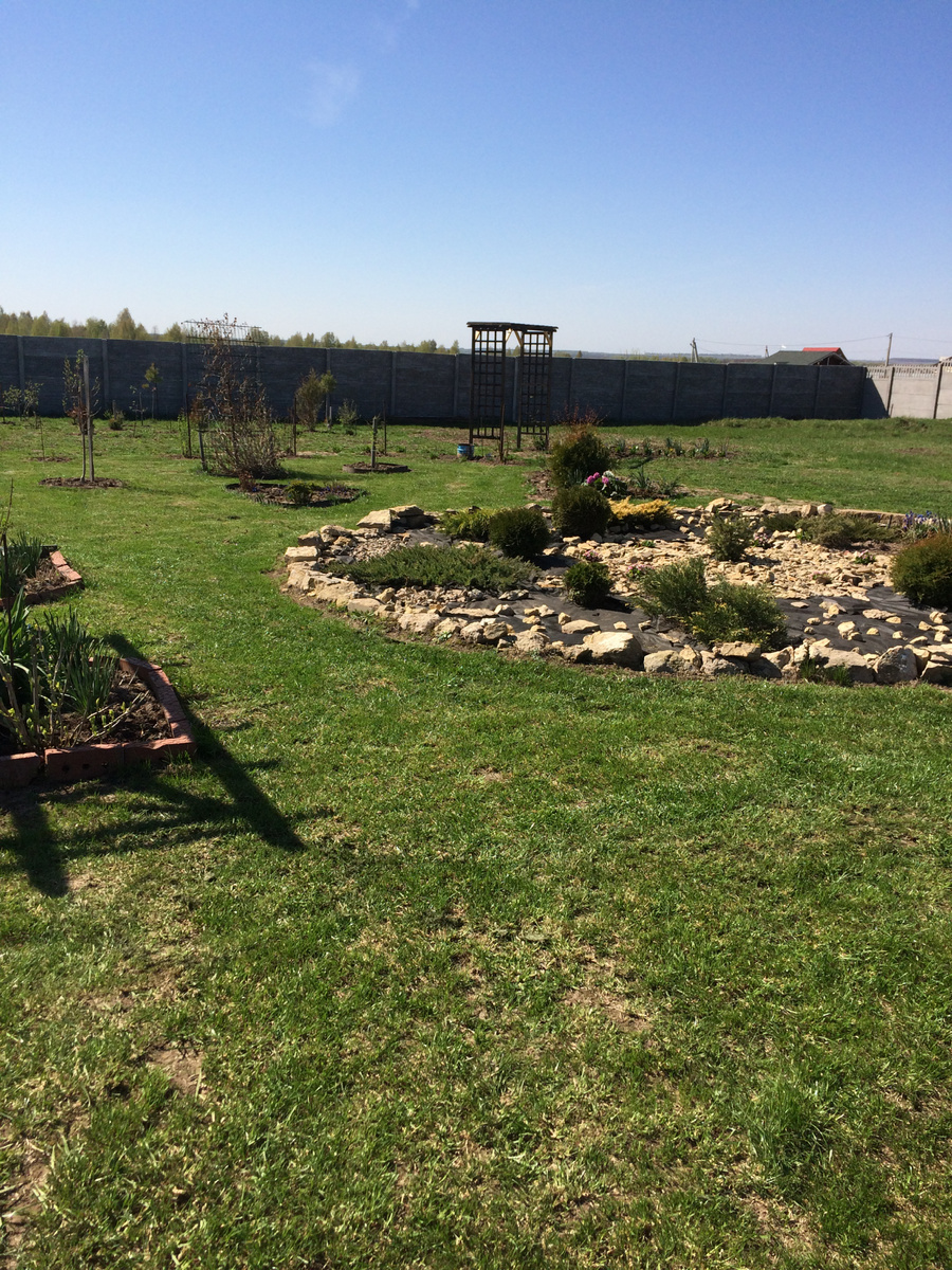 Так выглядел  центральный хвойный миксбордер через 2 года после посадки