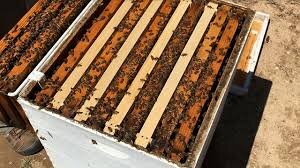 🐝 Шахматная система в пчеловодстве: полное руководство