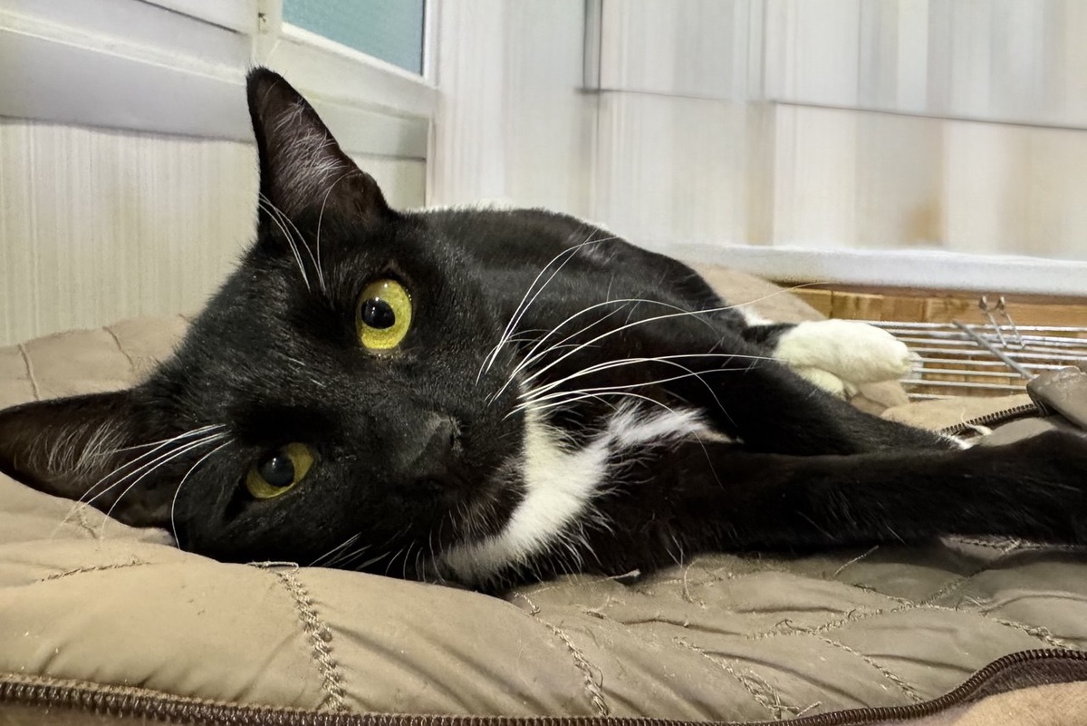 Красотка. С глазами, которые смотрят в душу