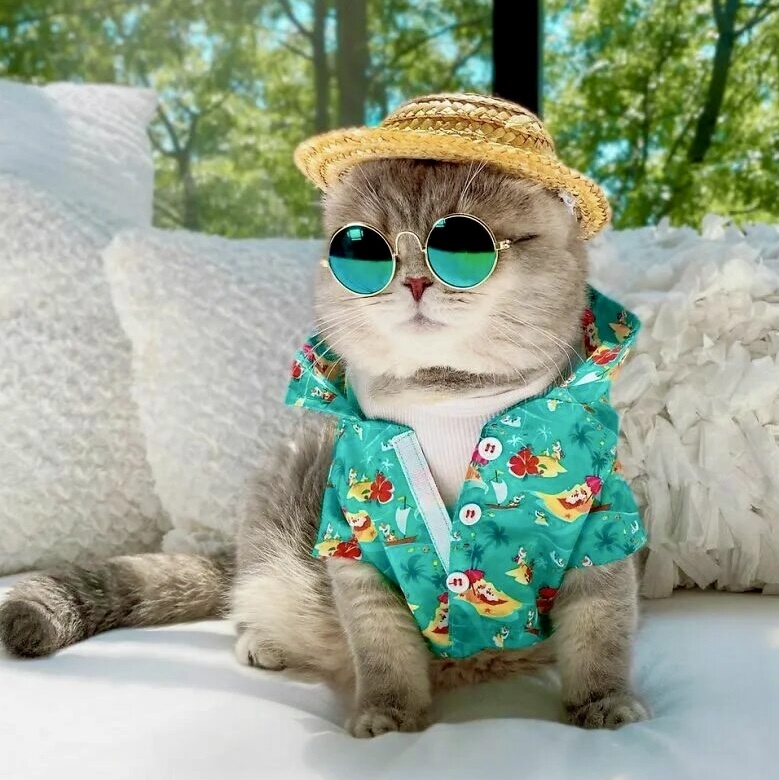 Картинка из инета .