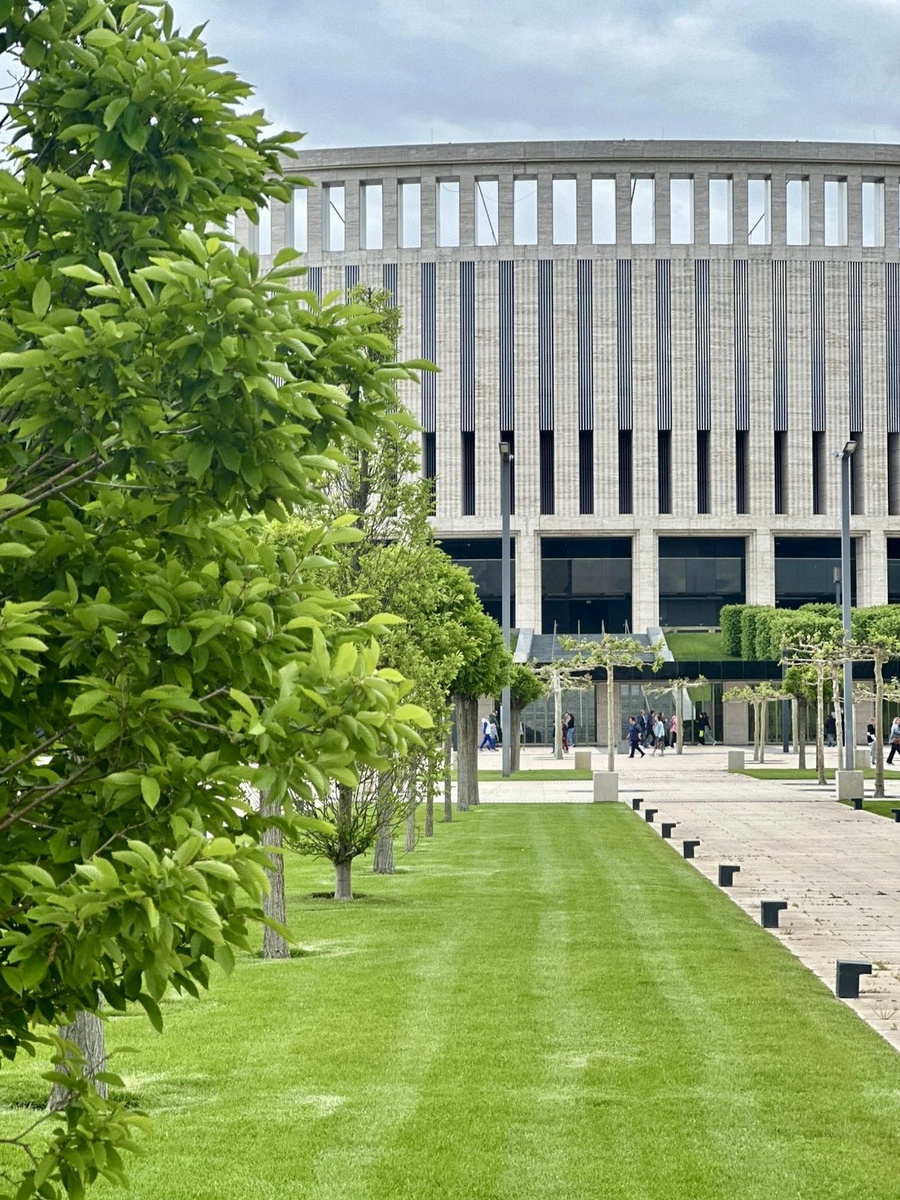 Фото автора . Краснодар .