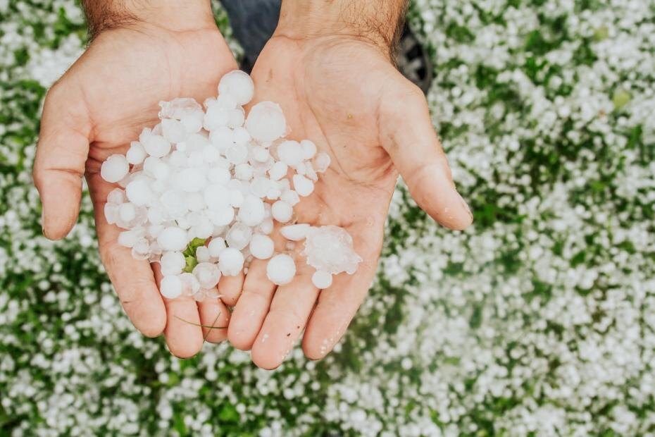    Shutterstock/FOTODOM