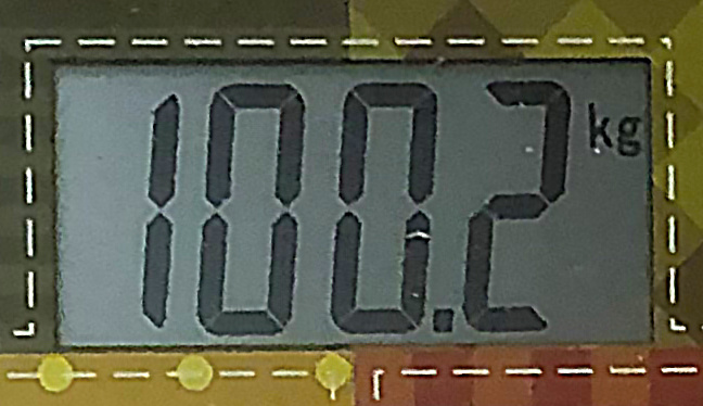 8 месяцев назад. Фото автора. 