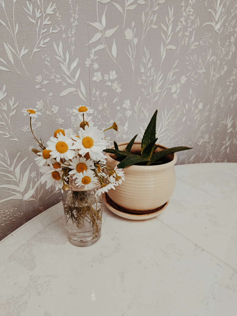 С праздником семьи, любви и верности💚🩷💜 