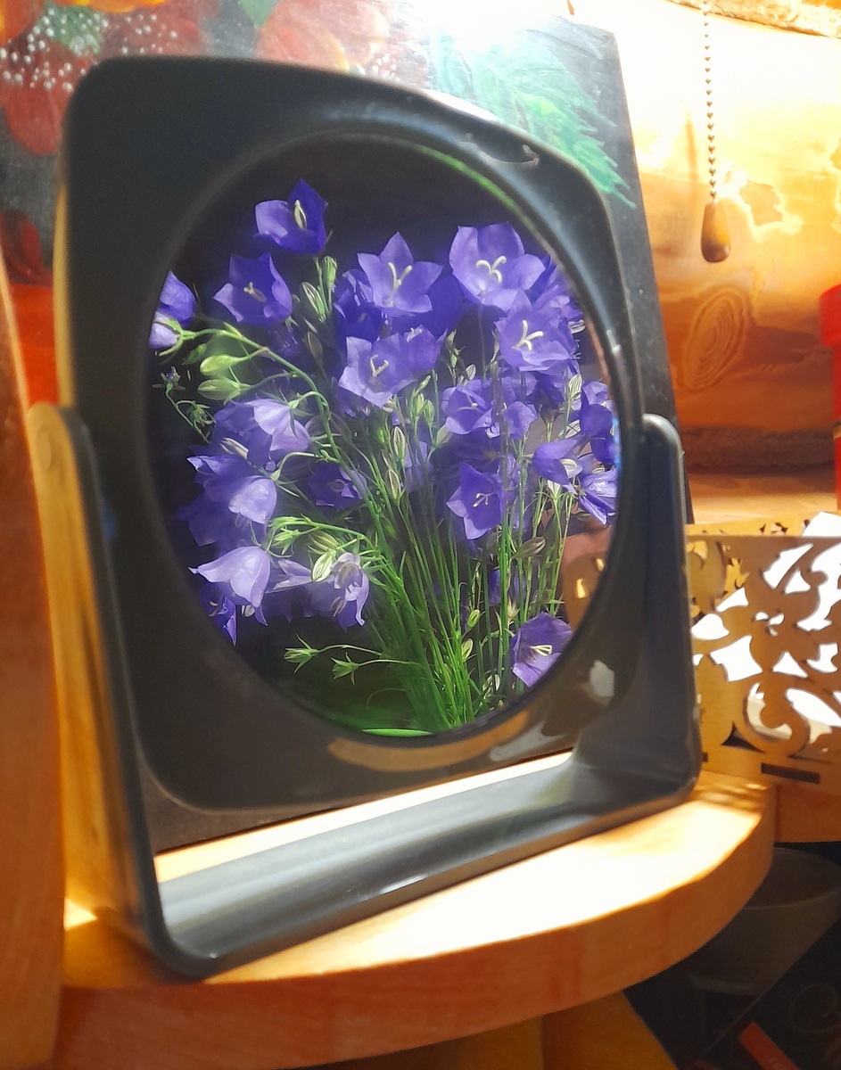 Отражение цветов в зеркале 🌷