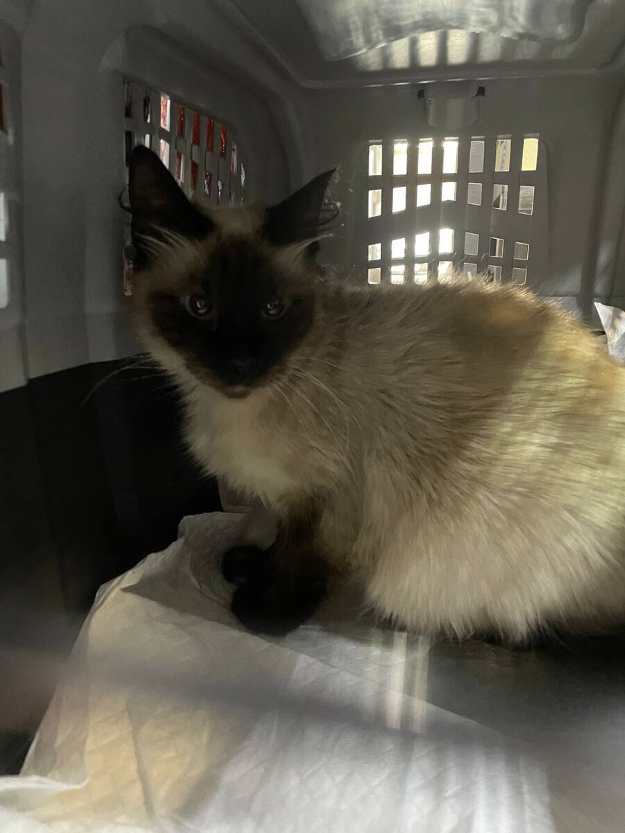 Куда опять??