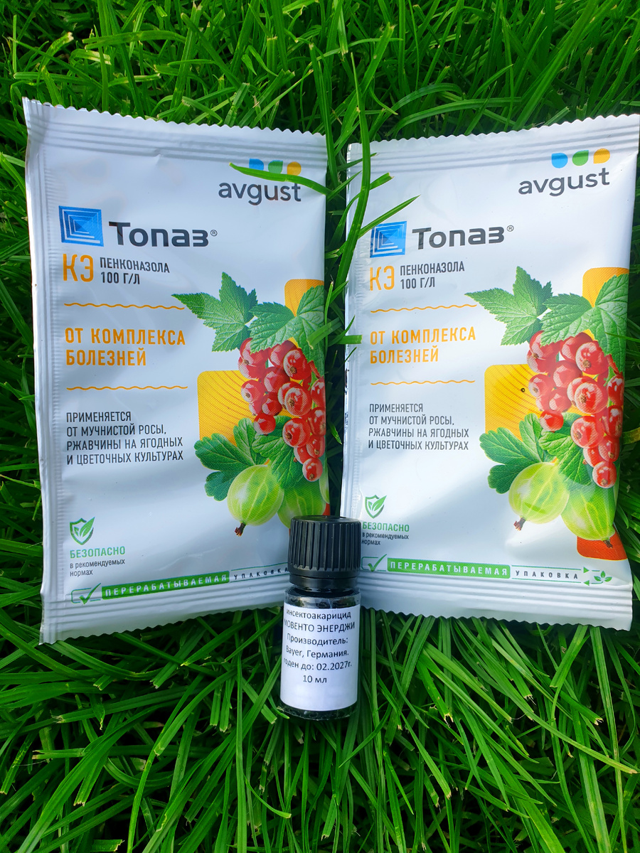 Фото автора.