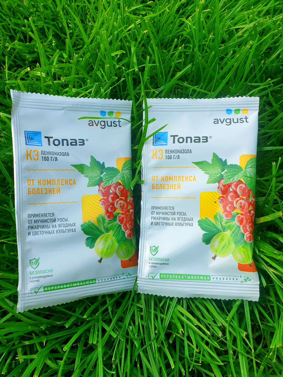 Фото автора.