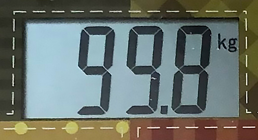 7 месяцев назад. Фото автора. 