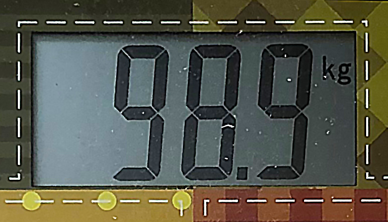 6 месяцев назад. Фото автора. 