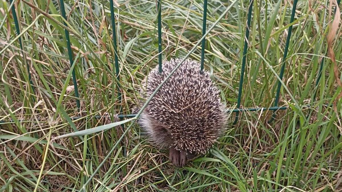    Фото: пресс-служба «СпасРезерва»