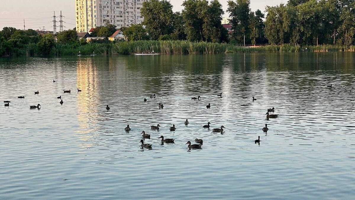    Фото: телеканал «Краснодар»