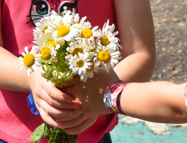 В библиотеках, дворцах культуры и детсадах Твери отмечают День семьи, любви и верности