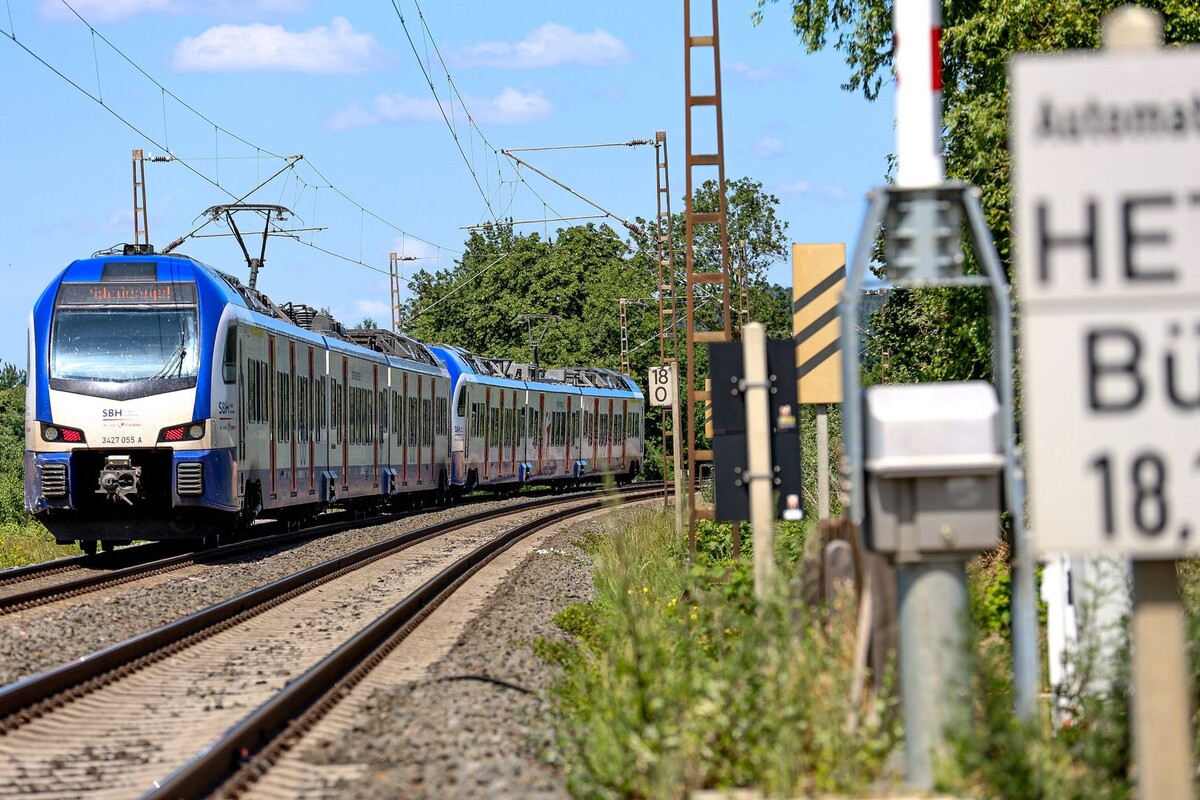     / Источник: © Global Look Press