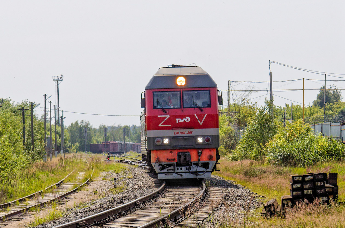 Тепловоз ТЭП70БС-308 с вагоном-дефектоскопом