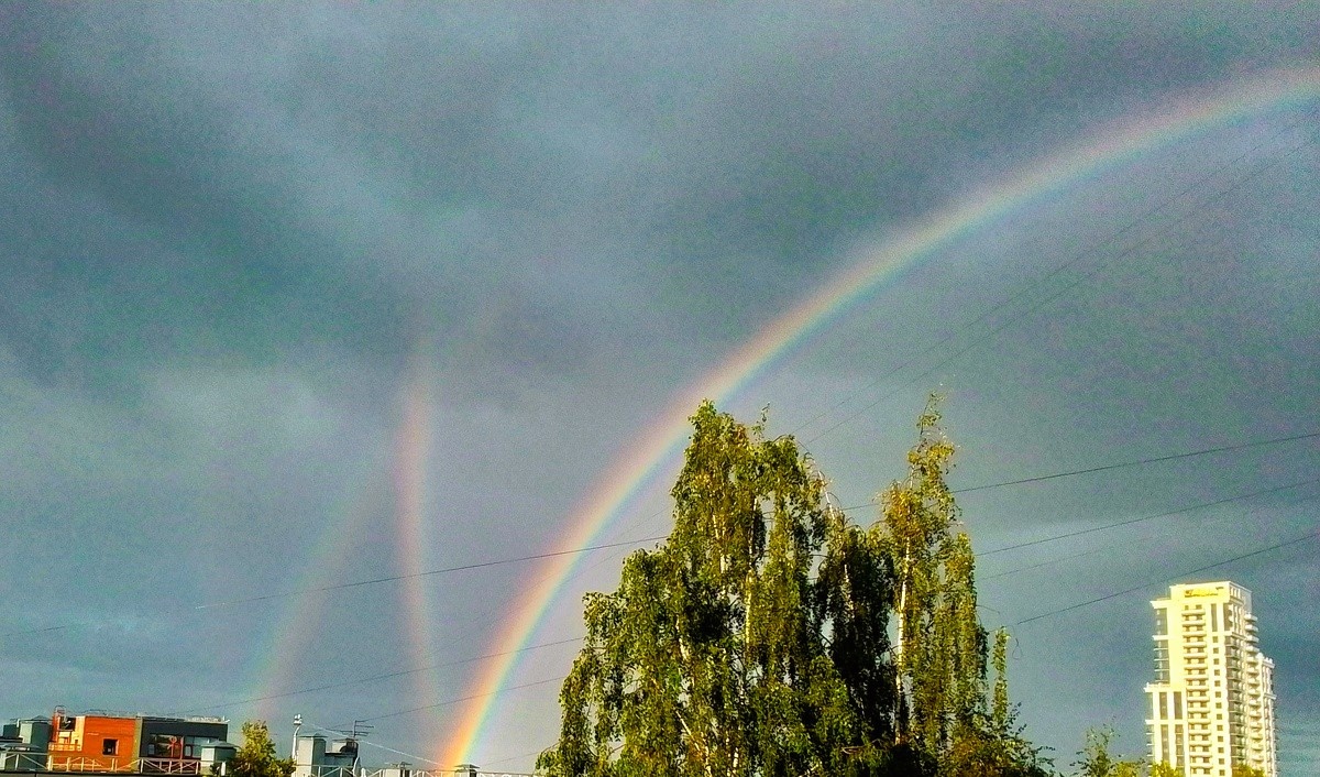 Автор фотографии - наша читательница Ира Милс 