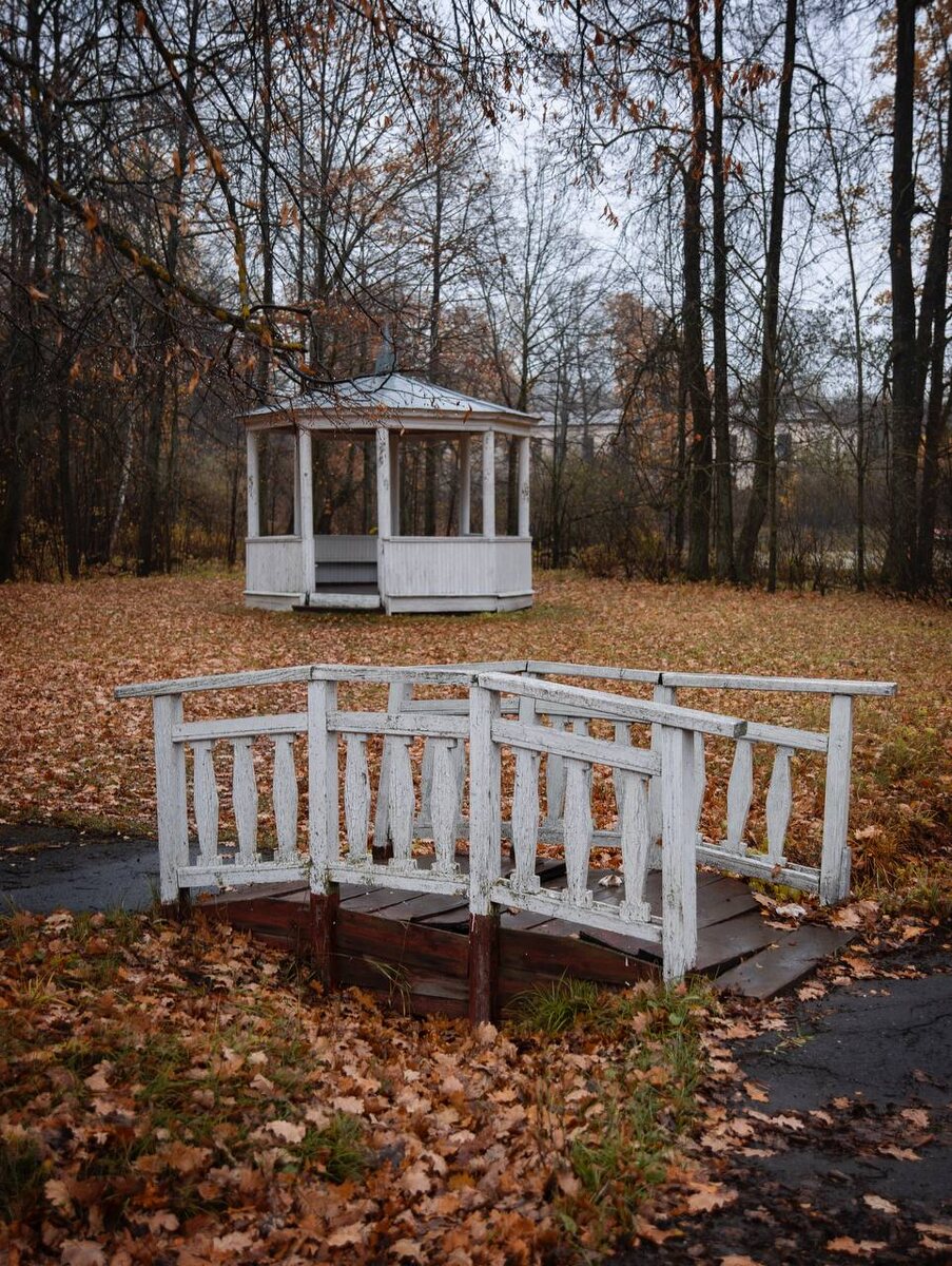 Усадебный парк Рогожки