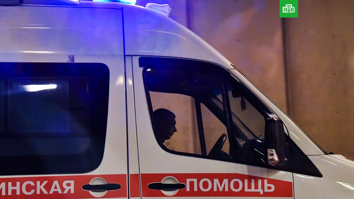    Фото: РИА Новости © 2025, Наталья Селиверстова