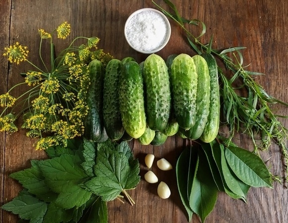 Как сделать маринованные огурцы хрустящими — нужен всего один тайный ингредиент