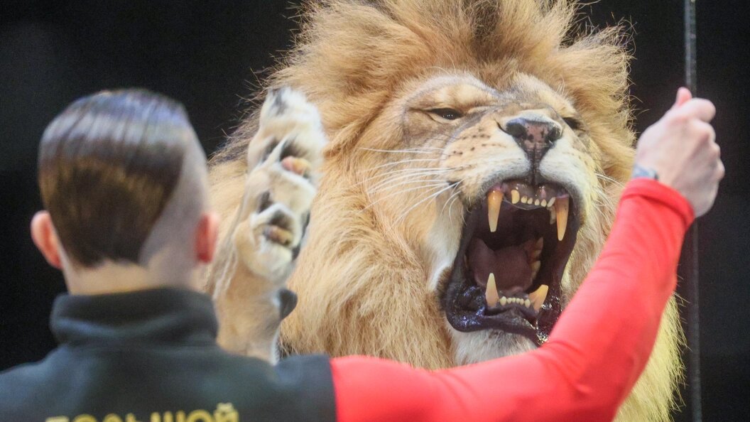    фото: Bulkin Sergey/news.ru