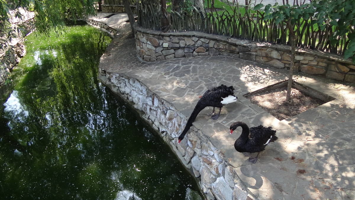 Парк "Лога" — не Каменск-Шахтинский, но близко