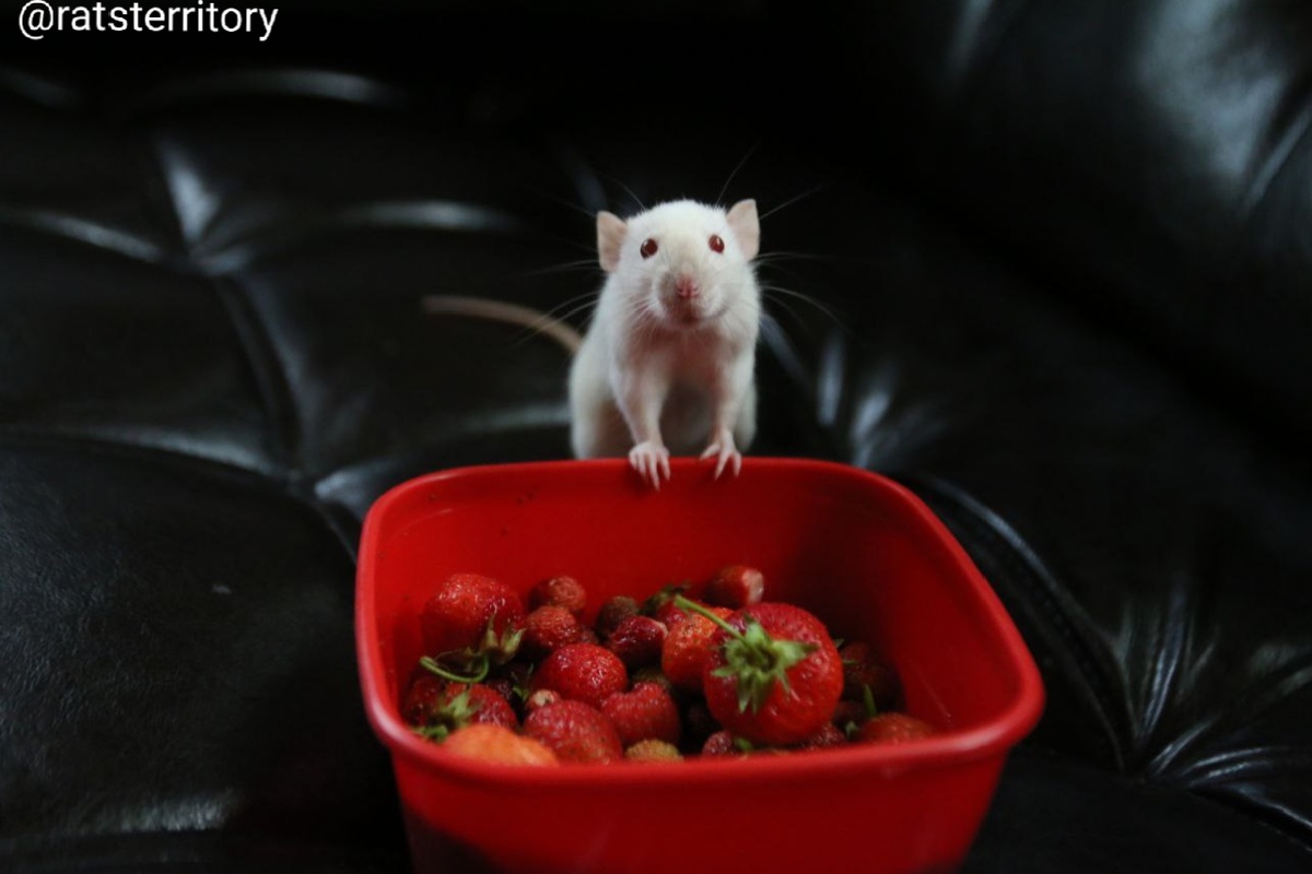 Мам, это правда все мне?!)