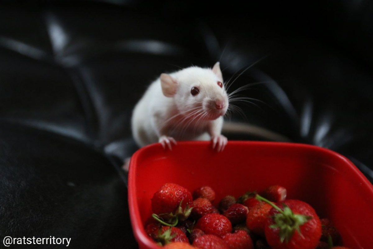 Точно можно попробовать?)