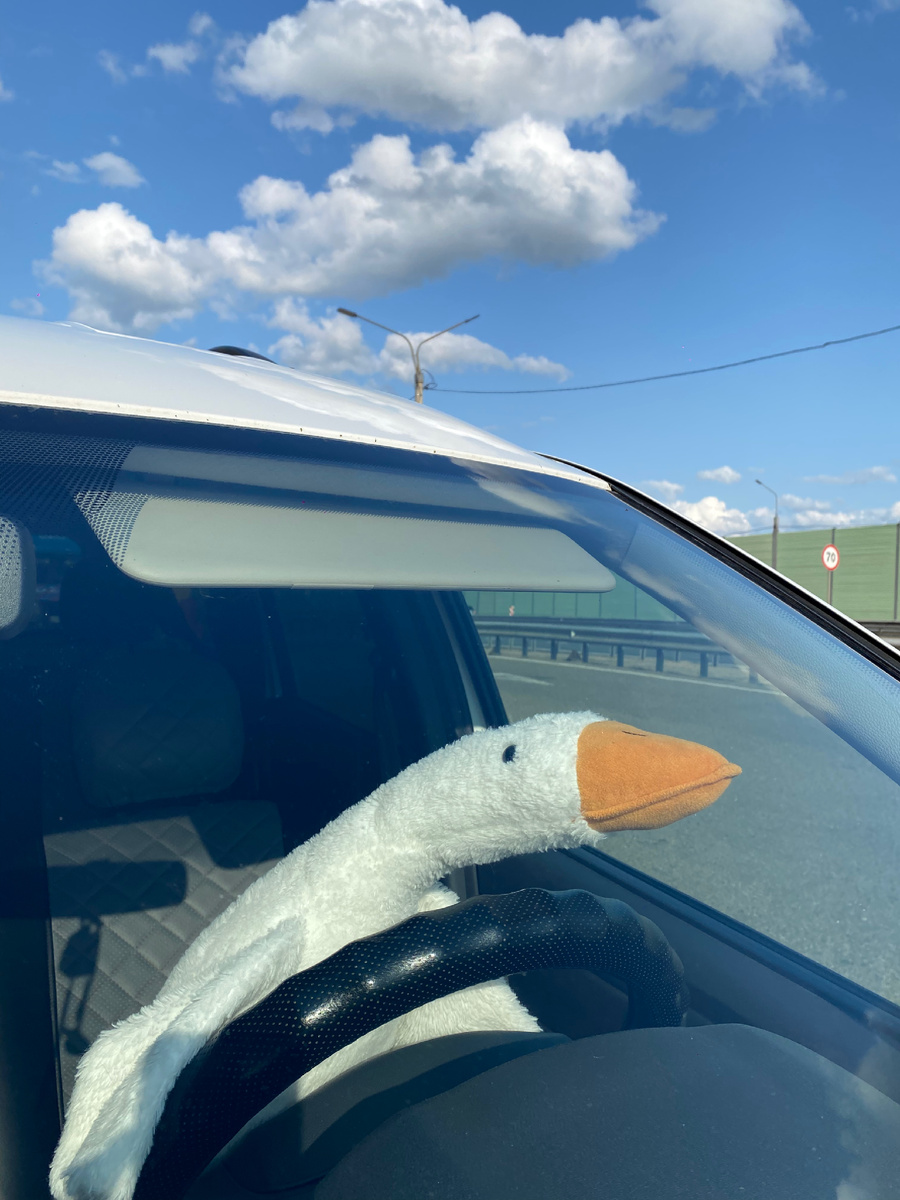 Наш компаньон Гусик за рулем ларГУСа